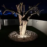 Theo Luxury Napa Ayia Napa