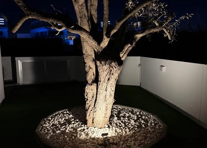 Theo Luxury Napa アヤナパ